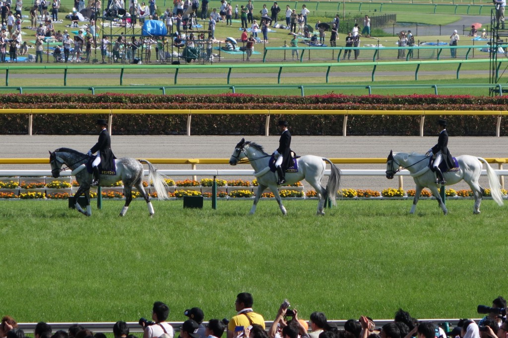 2014年東京優駿誘導