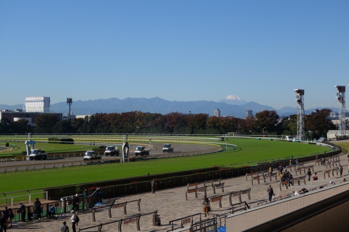 富士山