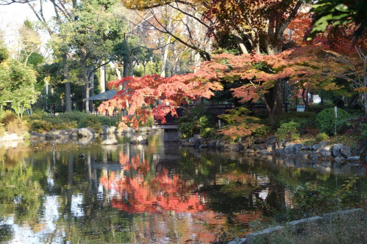 日本庭園