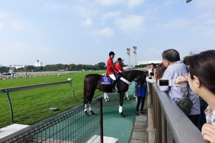 ブロッケンおでむかえ