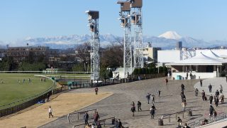 富士山丹沢