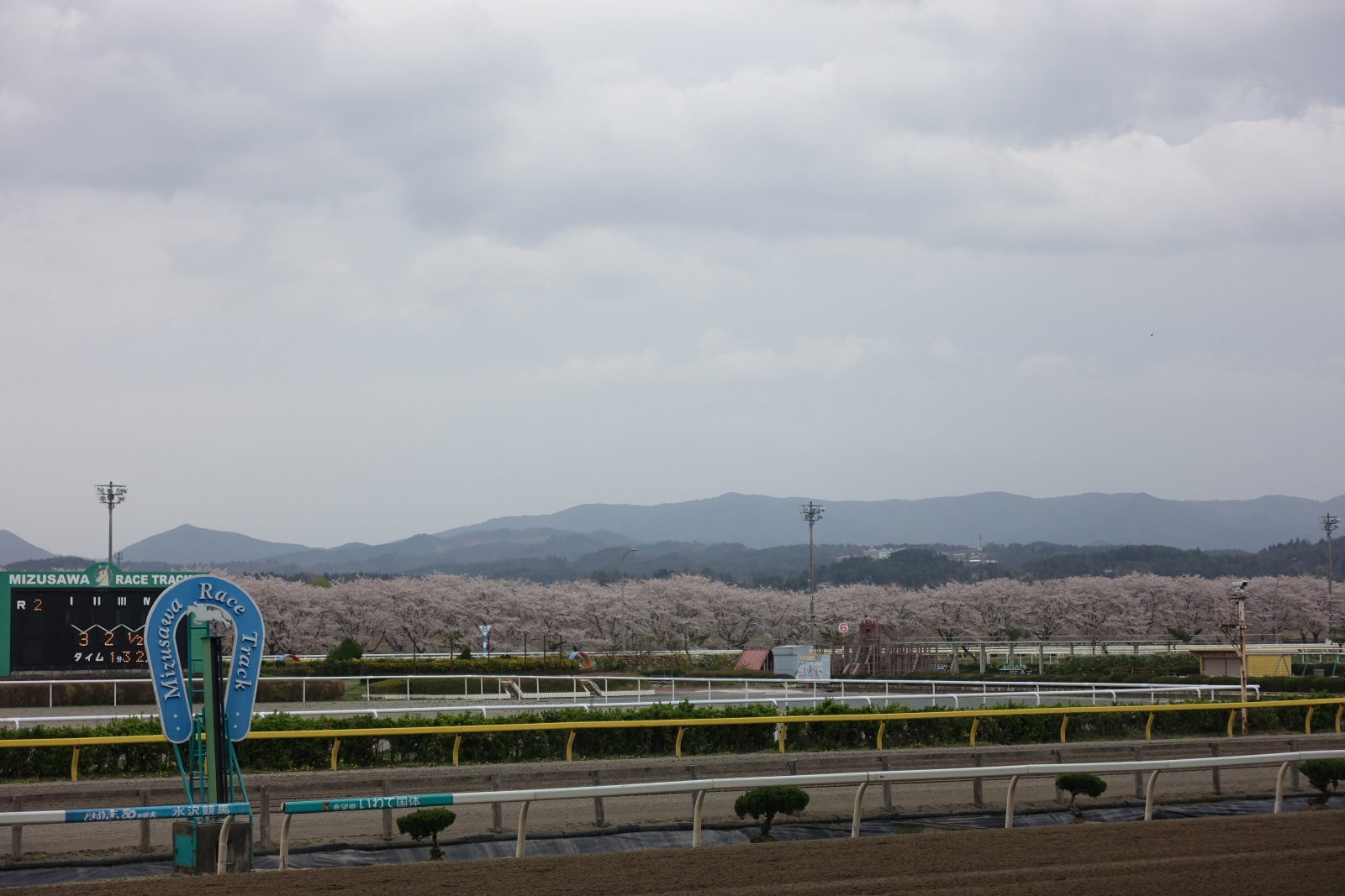メイセイオペラ記念碑建立委員会 | 東京競馬場
